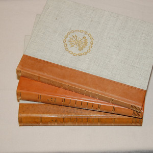 Suur-Jämsän historia I-III